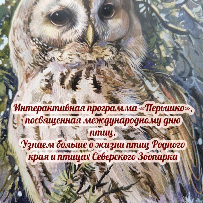 Главная