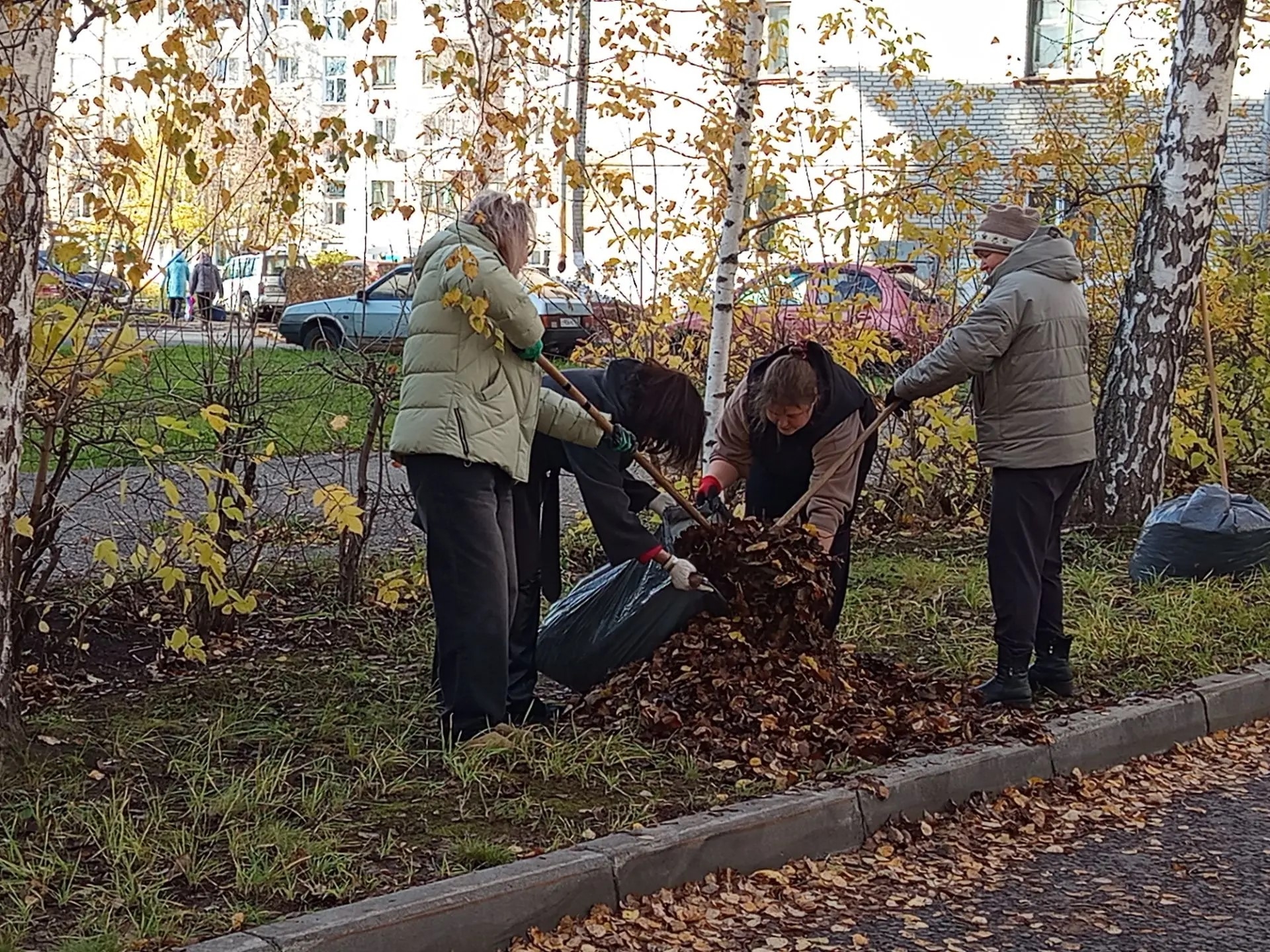 Мы за чистоту и красоту нашей Школы и нашего города!