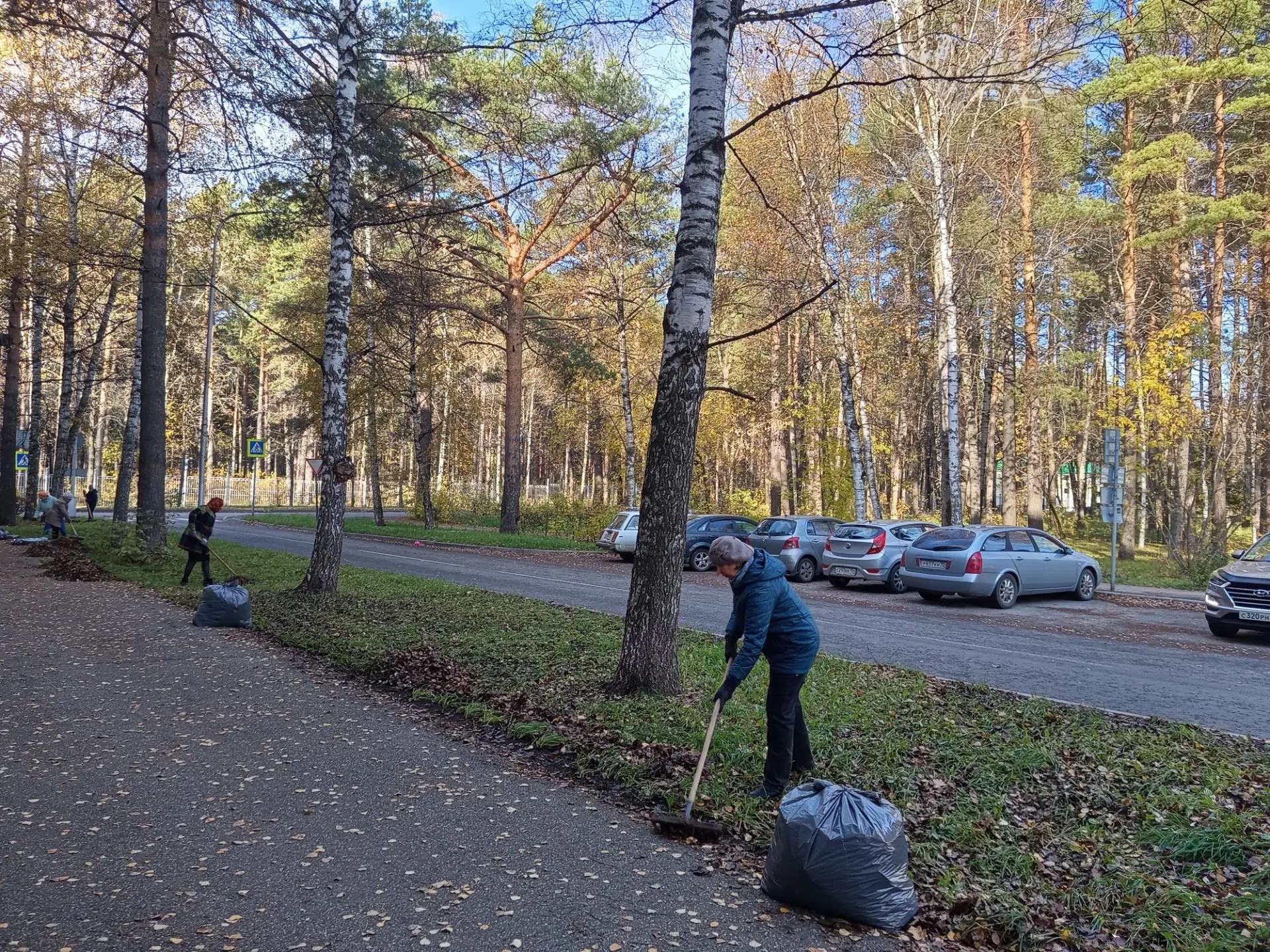 Мы за чистоту и красоту нашей Школы и нашего города!